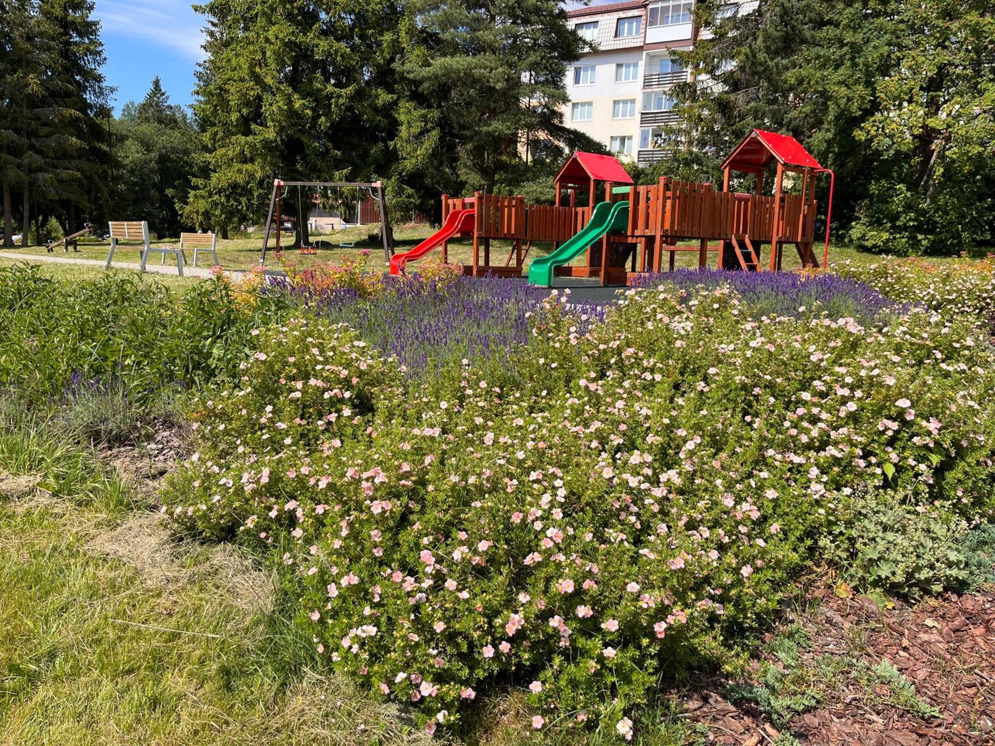 Cozy Apartment By The Forest Tatrzańska Szczyrba Zewnętrze zdjęcie